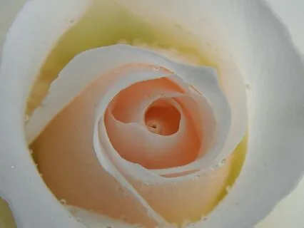 Resting In The Present Moment