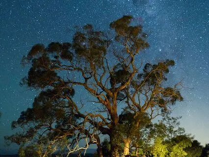 Resting In The Stillness Of The Dark Sacred Night
