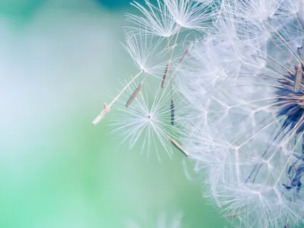 The Beauty Of Rest - A Journey Inward