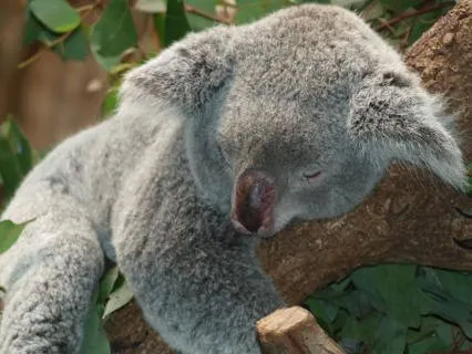 Resting Into Safety: A Deep Sleep Guide To Calm Anxiety