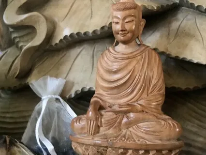 Resting Into Spacious Compassion