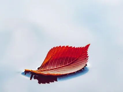 Resting Into Trust: A Yoga Nidra For Uncertainty