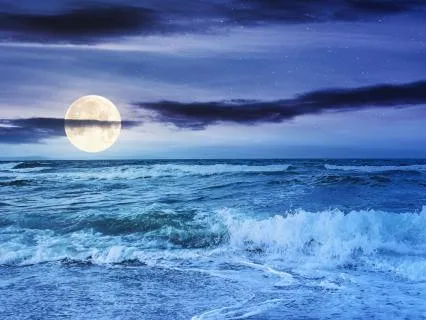 Resting Into Wholeness — An All-Night Sleep Soundscape