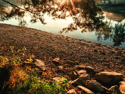 Resting On The Earth