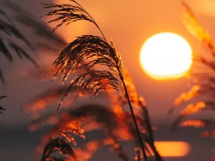 Resting Sky – A Gentle Space For Heartfelt Calm