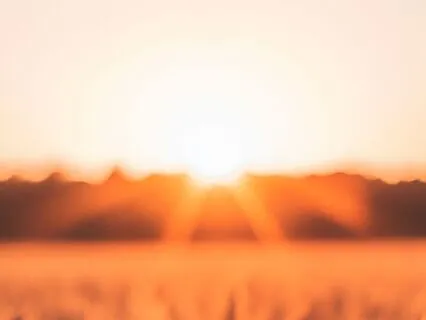 Resting Sound For Tinnitus (Tinnitus Retraining Therapy)