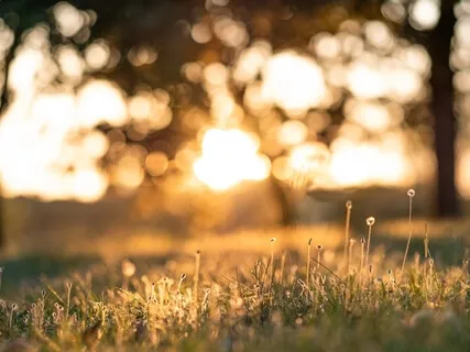 Resting The Body & Mind (Short & Simple Practice)