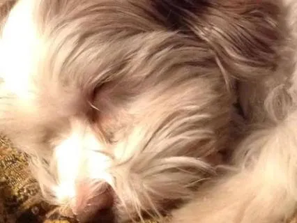 Resting With The Unkown