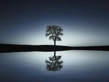 Restlessness To Stillness: Meeting Your Eternal Companion