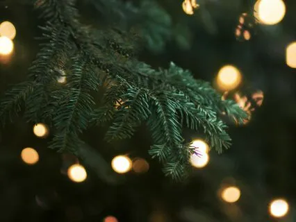 Restmas Welcome Meditation