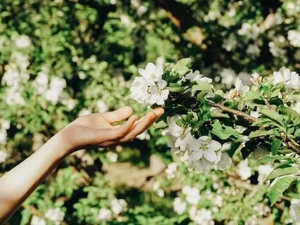 Restoration Series: The Earth