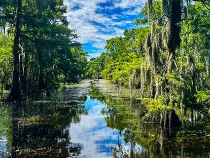 Restorative 1:2 Breathing