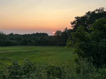 Restorative Body Scan With Crickets