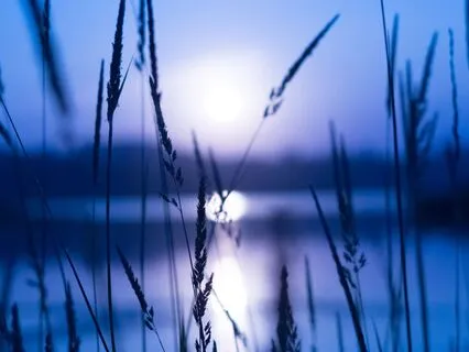 Restorative Breath + Soothing Light Of The Moon