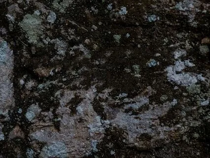 Restorative Breathwork for Deep Rest