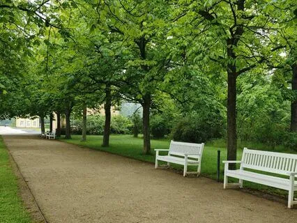 Restorative Calm Soundtracks