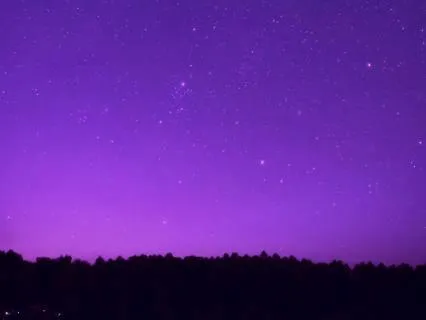 Restorative Evening Wind-Down