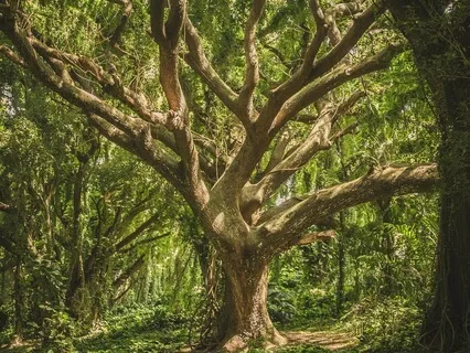 Release Stress & Return To Inner Calm