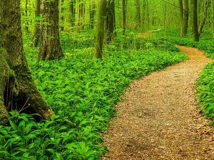 Restorative Yoga: 30-Min Deep Healing