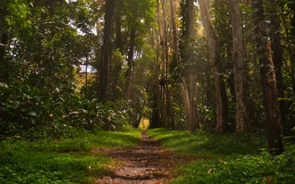 Restorative Yoga for Anxiety | Regulate Your Nervous System