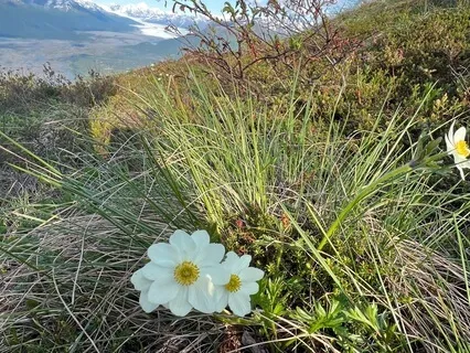 Restorative Yoga Nidra With Visualization