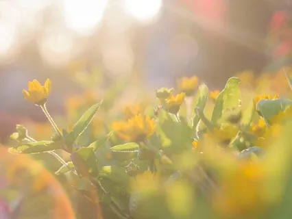 Restore & Heal Yourself | Embracing Self Love