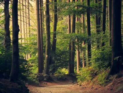 Restore Calm And Reset Your Nervous System After Anxiety