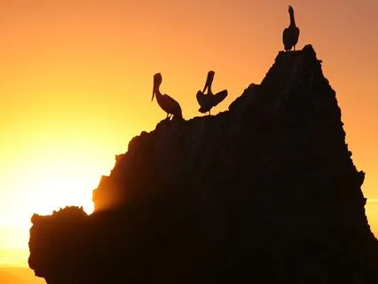 Breathe In The Light Of Radiant Healing