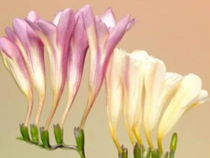 Restore Your Energy: Midday Meditation