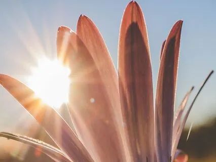 Restore Your Faith & Reignite Your Motivation