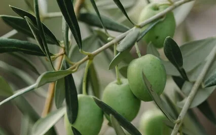 Restore Your Inner Balance (852Hz)