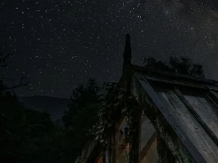 Restore Your Inner Light At The Greenhouse Of Stars