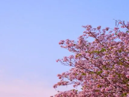 Restoring Balance At University - 10-Minute Meditation