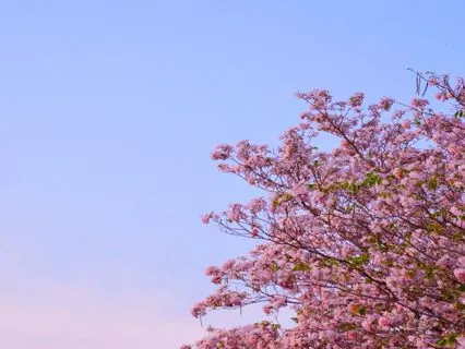 Restoring Balance At University - 20-Minute Meditation