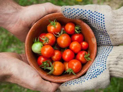 Restoring Our Faith In Humans -- Practicing Generosity