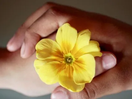 Restoring Wholeness: Body, Mind, Spirit Alignment