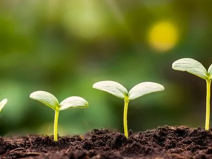 Resurrection Out Of Negativity