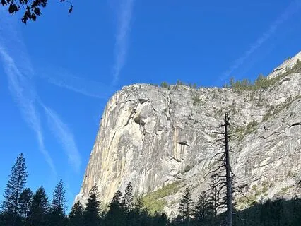 Retired And Nothing To Do ?