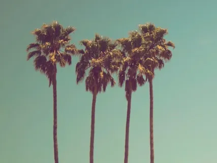 Retro Relaxation Song