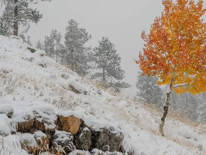 Retrograde Meditation