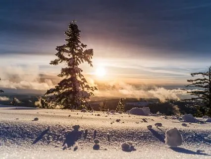 Return Of The Light - A Winter Solstice Visualization