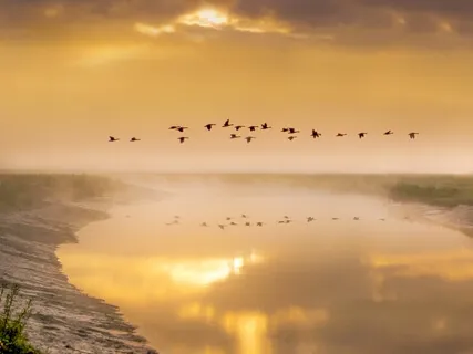 Return Of The Wild Geese (Instrumental)