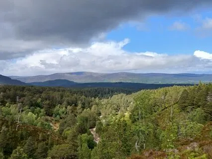 Return To Calm – A Grounding Practice (With Music)