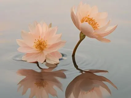Return To Calm