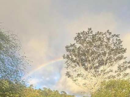 Return To Coherence (432 Hz Precise Temperament Tuning)