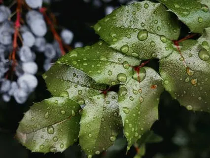 Return To Curiosity: A 5-Minute Beginner’s Mind Meditation