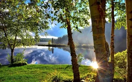 Return To Harmony - Meditation 56 (18 Min)