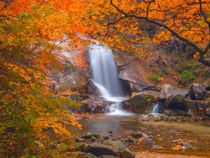 Return To Love-A Death Awareness Practice