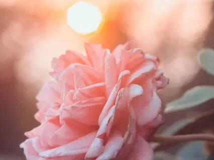 Return To Love – A Heart-Opening Chimes Meditation