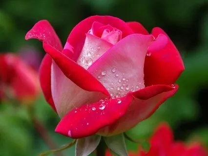 Return To Love - June 15